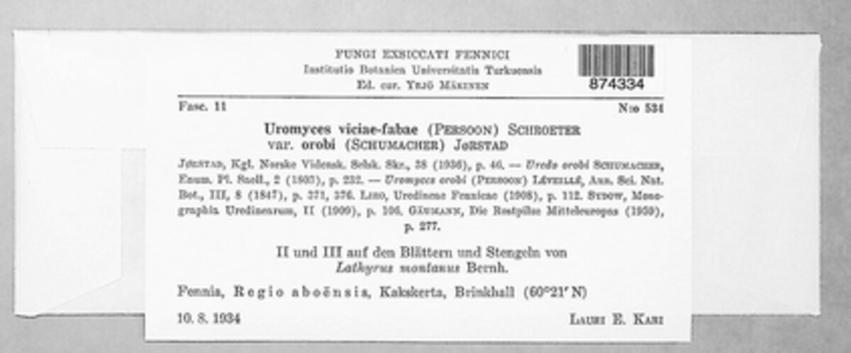 Uromyces viciae-fabae var. orobi image